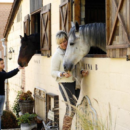 B&B Domaine Villa Bayard Kanne Eksteriør bilde