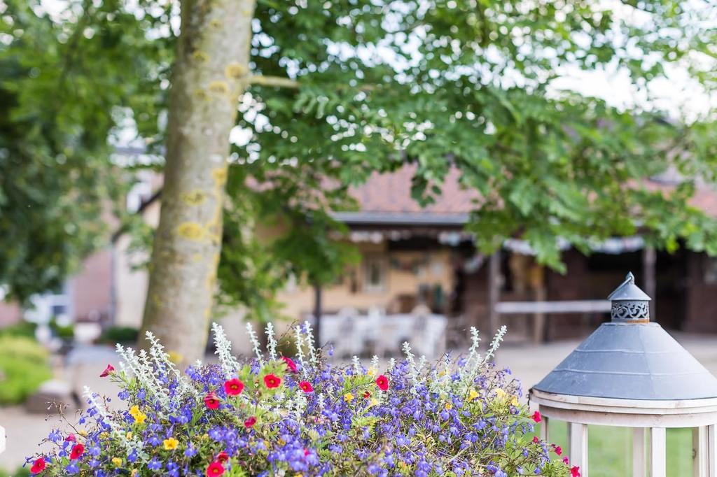 B&B Domaine Villa Bayard Kanne Eksteriør bilde